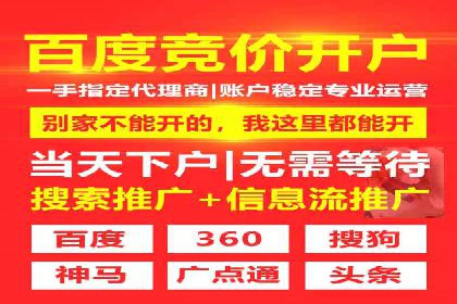 SEM推广公司案例：打造高效营销体系